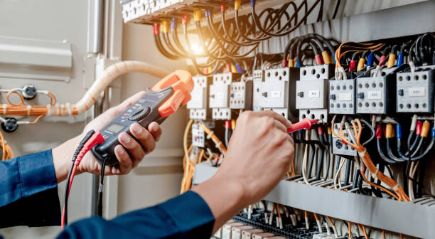 Best Ceiling Fan Installation Electrician  in Honokaa, HI